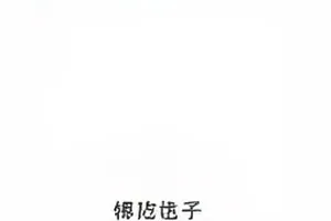 演唱会退票规则修订：票务页面与条款截图